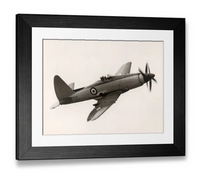 Framed Print : Westland Wyvern TF2, VP109 Framed Print : Westland Wyvern TF2, VP109