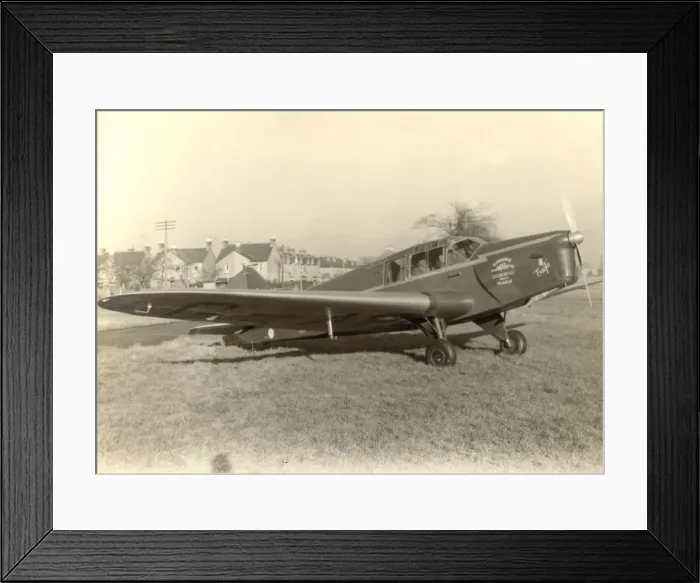 Framed Print : BA Eagle 2 Framed Print : BA Eagle 2