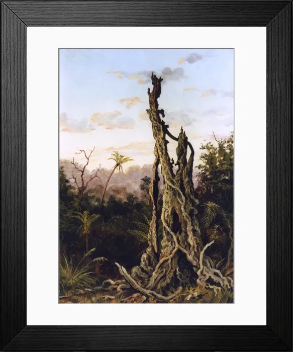 Framed Print : Australian Landscape, Charles E Gordon Frazer