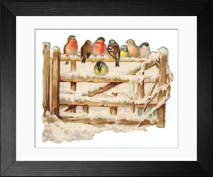 Framed Print : Birds perched on a gate on a cutout Christmas card Framed Print : Birds perched on a gate on a cutout Christmas card