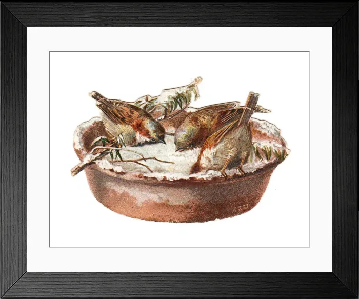 Framed Print : Sparrows in snow on a dish-shaped Christmas card Framed Print : Sparrows in snow on a dish-shaped Christmas card