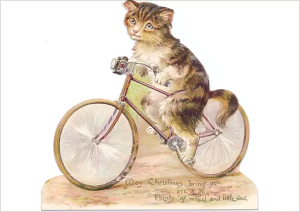 Cat on a bicycle on a cutout Christmas card