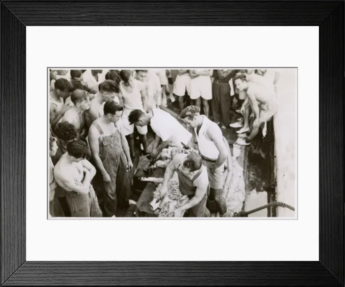 Framed Print : HMS Sirius paying a courtesy visit to Saudi Arabia Framed Print : HMS Sirius paying a courtesy visit to Saudi Arabia