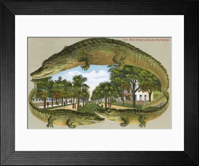 Framed Print : Main street, Jacksonville, Florida, USA Framed Print : Main street, Jacksonville, Florida, USA