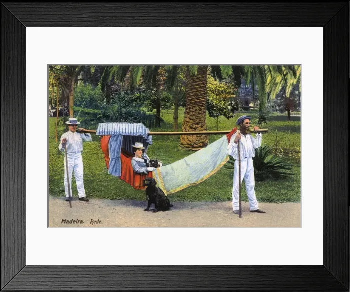 Framed Print : Madeira - Transporting Hammock Framed Print : Madeira - Transporting Hammock