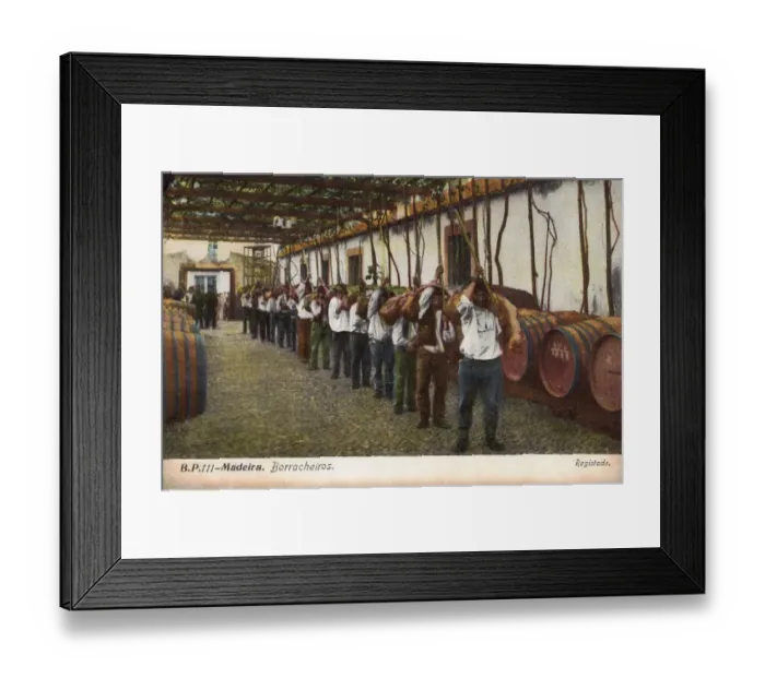 Framed Print : Borracheiros - Madeira, Portugal Framed Print : Borracheiros - Madeira, Portugal