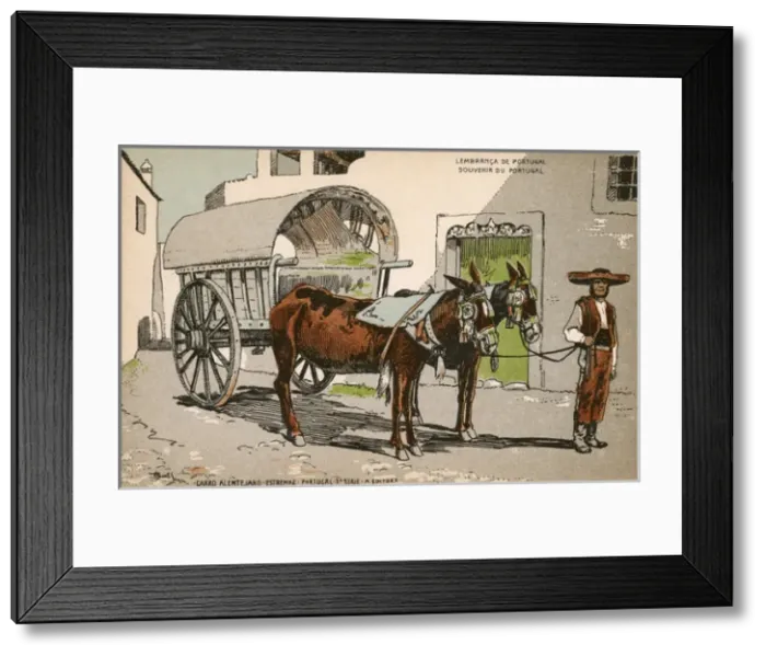 Framed Print : Carro Alentejano, Estremoz, Portugal Framed Print : Carro Alentejano, Estremoz, Portugal