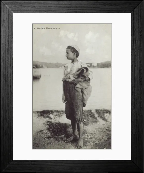 Framed Print : A Bermudan Boy, Bermuda Framed Print : A Bermudan Boy, Bermuda