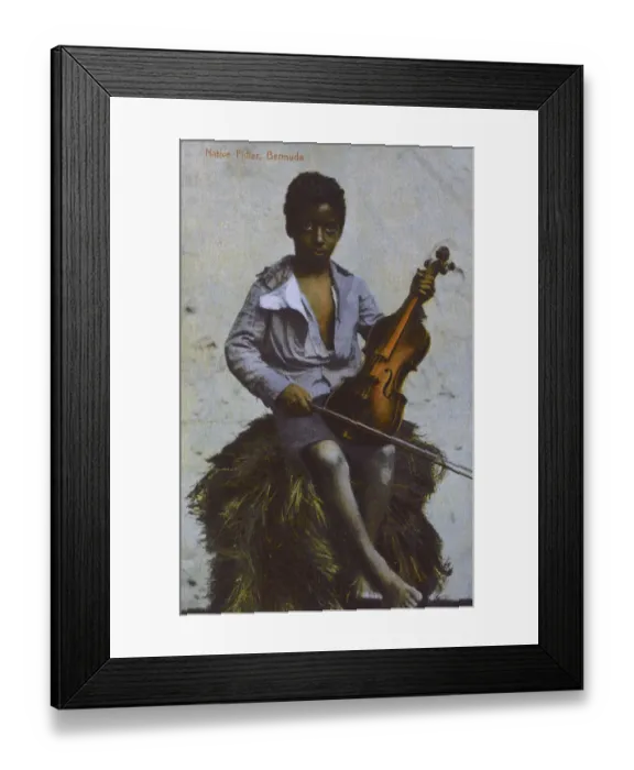 Framed Print : Young Fiddler, Bermuda Framed Print : Young Fiddler, Bermuda