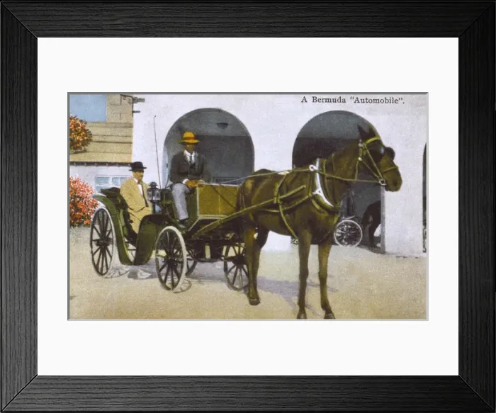 Framed Print : Bermudan Horse-drawn Carriage Framed Print : Bermudan Horse-drawn Carriage