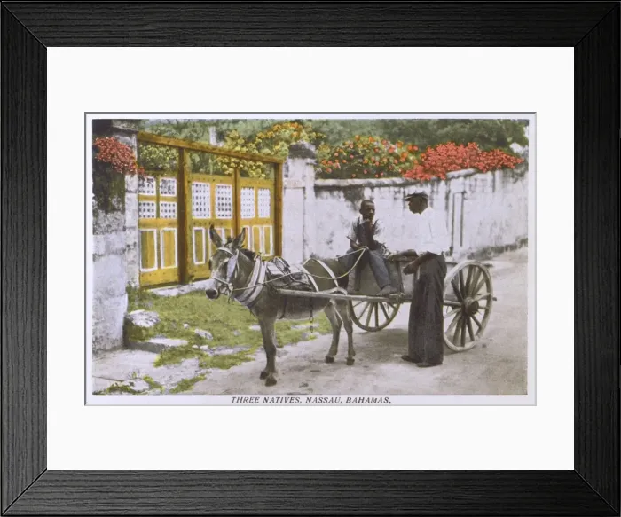Framed Print : Three Natives of Nassau - Bahamas Framed Print : Three Natives of Nassau - Bahamas