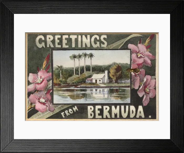 Framed Print : Greetings from Bermuda Framed Print : Greetings from Bermuda