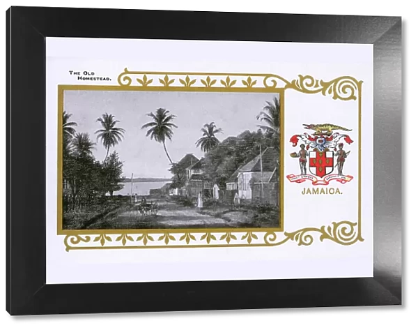Jamaica - The Old Homestead