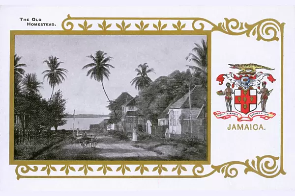 Jamaica - The Old Homestead