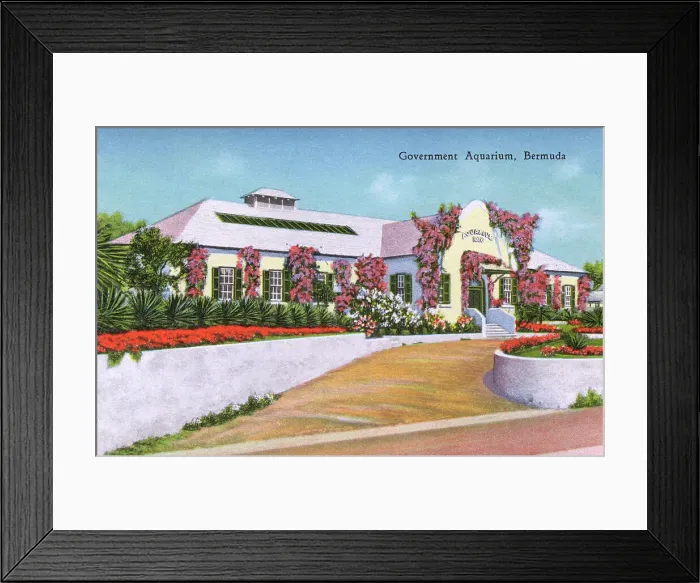 Framed Print : The Government Aquarium, Bermuda Framed Print : The Government Aquarium, Bermuda
