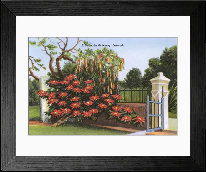 Framed Print : A Bermuda Gateway Framed Print : A Bermuda Gateway