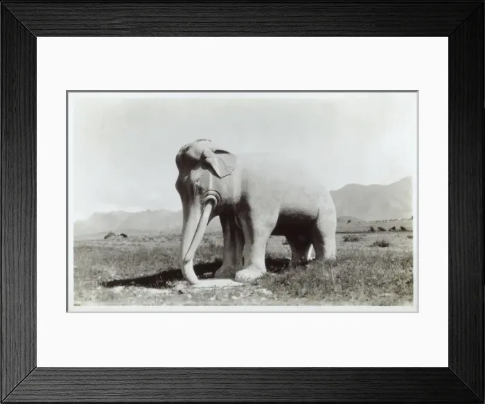 Framed Print : Stone Elephant, Ming Tombs, Beijing Framed Print : Stone Elephant, Ming Tombs, Beijing