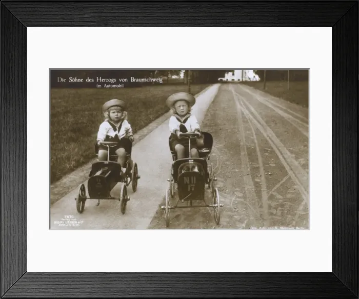 Framed Print : The sons of the Duke of Brunswick Framed Print : The sons of the Duke of Brunswick