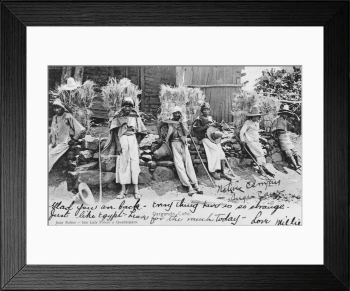 Framed Print : Indigenous Native Mexicans carrying Sugar Cane Framed Print : Indigenous Native Mexicans carrying Sugar Cane