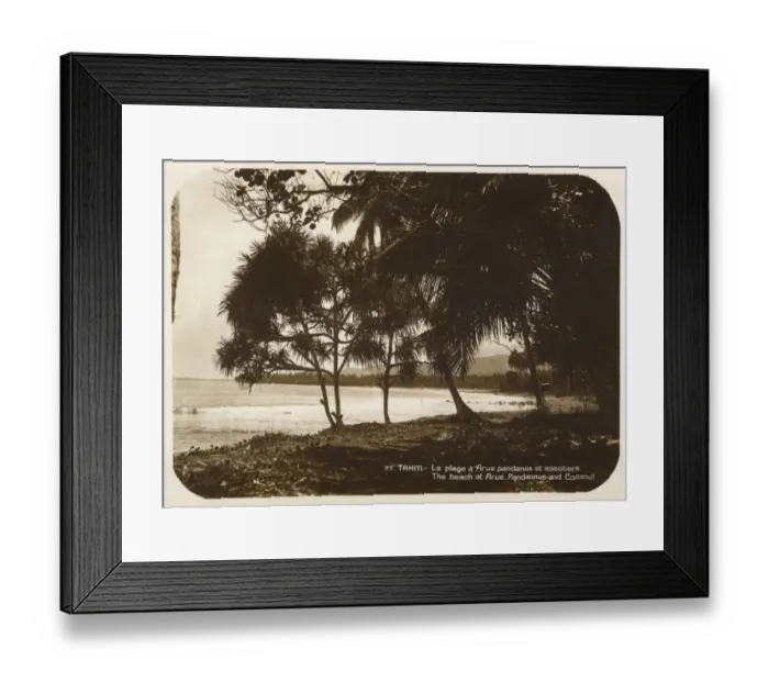 Framed Print : Tahiti - Beach at Arue with Pandanus and Coconut Trees Framed Print : Tahiti - Beach at Arue with Pandanus and Coconut Trees