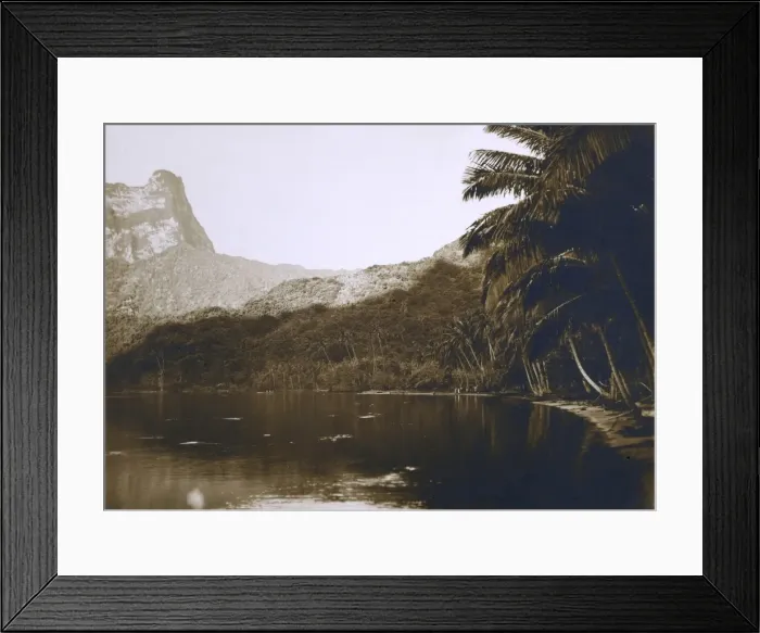 Framed Print : Tahiti - Coastal scene with Palm Trees Framed Print : Tahiti - Coastal scene with Palm Trees