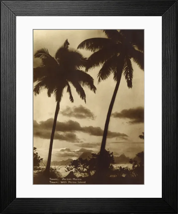 Framed Print : Tahiti - Coastal scene with Palm Trees / Moorea Island Framed Print : Tahiti - Coastal scene with Palm Trees / Moorea Island