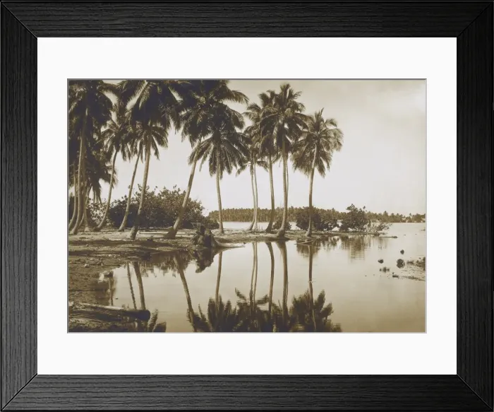 Framed Print : Coastal Scene with Palm Trees, Tahiti Framed Print : Coastal Scene with Palm Trees, Tahiti