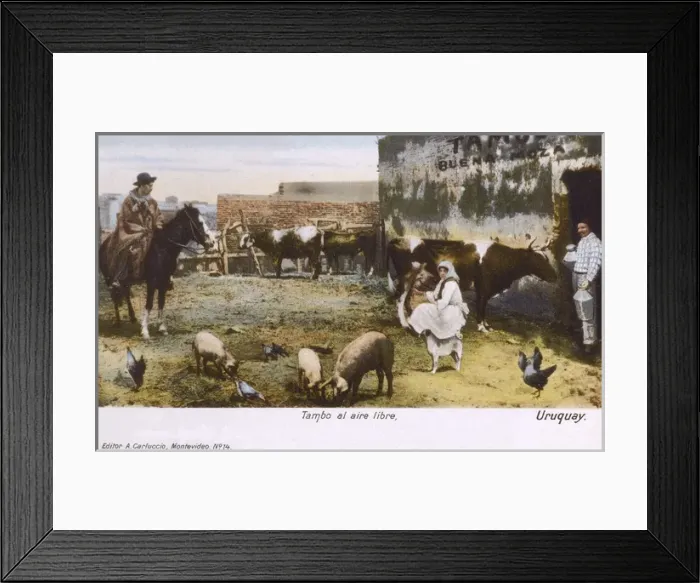 Framed Print : Uruguay - Cattle ranch - Farmyard scene Framed Print : Uruguay - Cattle ranch - Farmyard scene