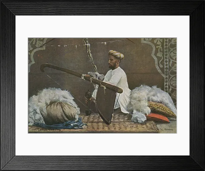 Framed Print : Indian man cleaning cotton Framed Print : Indian man cleaning cotton
