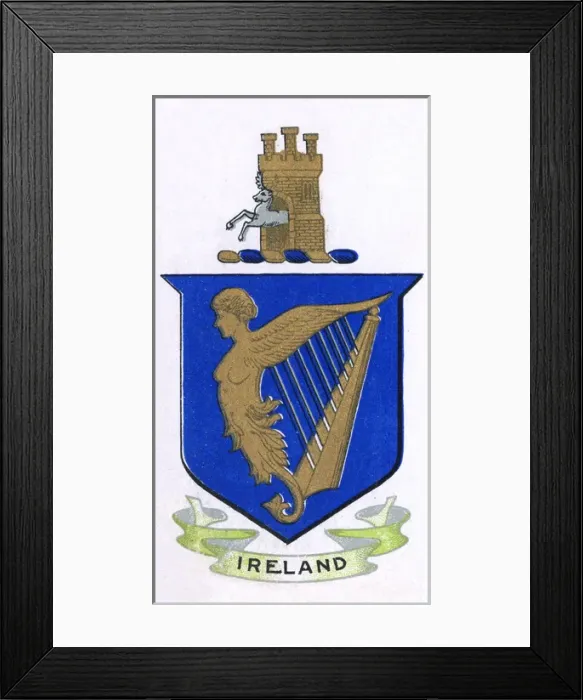 Framed Print : Symbol of Ireland - Harp Framed Print : Symbol of Ireland - Harp