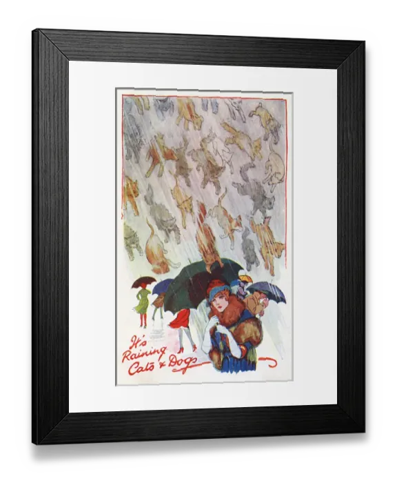 Framed Print : Raining Cats and Dogs Framed Print : Raining Cats and Dogs