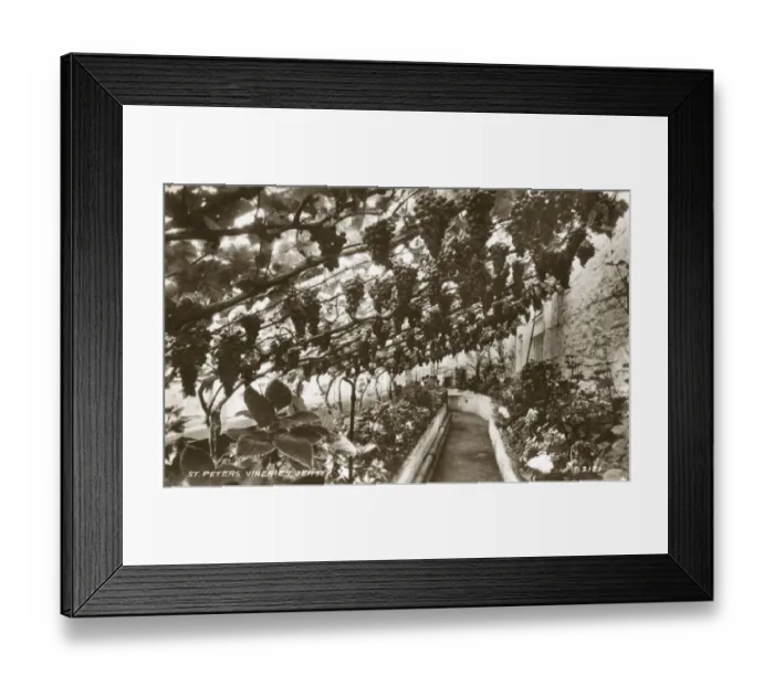 Framed Print : Vineries - St. Peters, Jersey Framed Print : Vineries - St. Peters, Jersey
