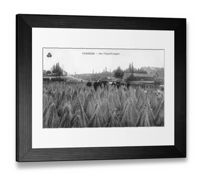 Framed Print : Kortrijk - sheafs of corn Framed Print : Kortrijk - sheafs of corn