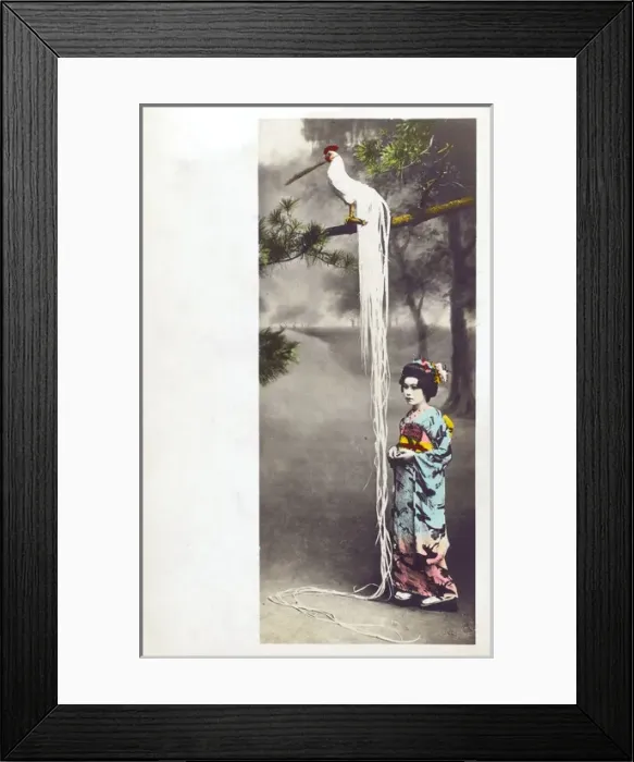 Framed Print : Japan - Remarkable Fowl at Miyanoshita Framed Print : Japan - Remarkable Fowl at Miyanoshita