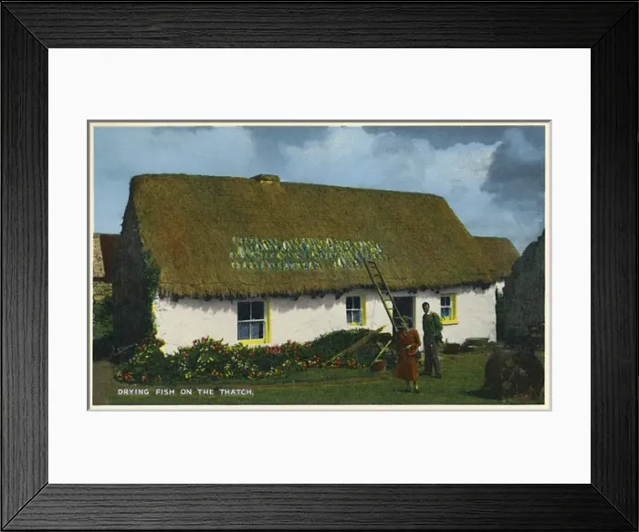 Framed Print : Drying fish on the thatch roof, Southern Ireland Framed Print : Drying fish on the thatch roof, Southern Ireland