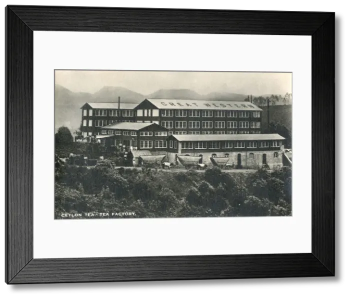 Framed Print : Tea Factory - Sri Lanka Framed Print : Tea Factory - Sri Lanka