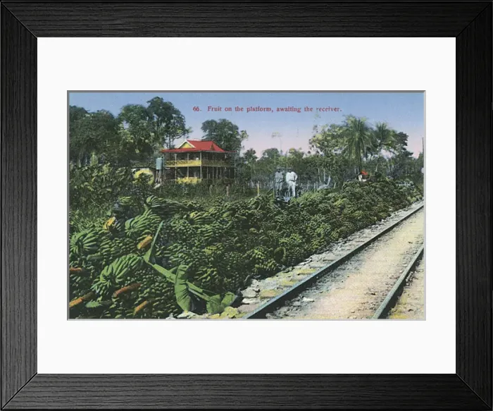 Framed Print : Bananas awaiting transporting by rail - Costa Rica Framed Print : Bananas awaiting transporting by rail - Costa Rica