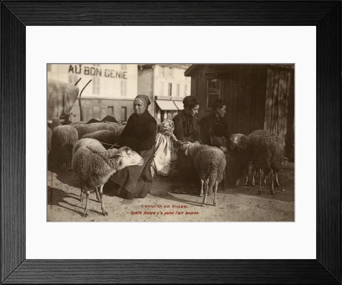 Framed Print : French Sheperdesses and their Sheep Framed Print : French Sheperdesses and their Sheep