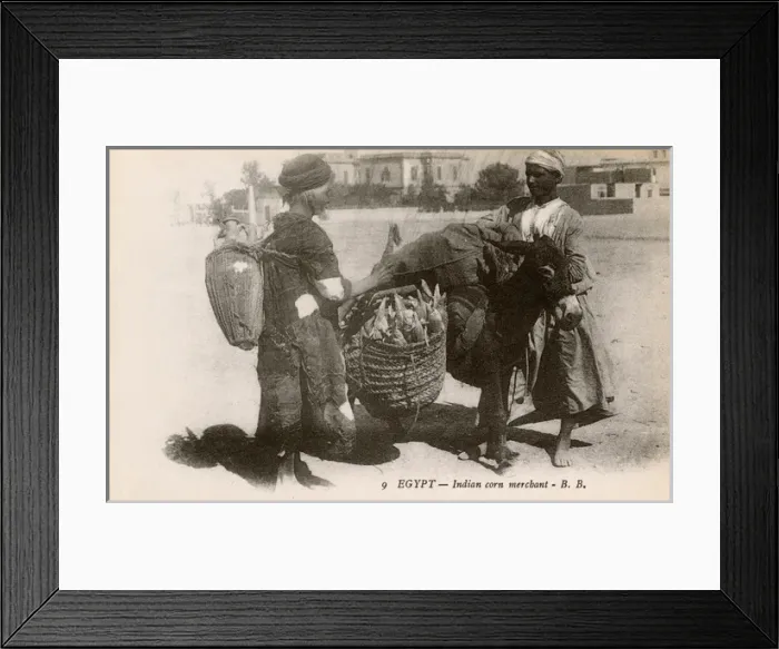 Framed Print : Egypt - Indian Corn Merchant with laden donkey Framed Print : Egypt - Indian Corn Merchant with laden donkey