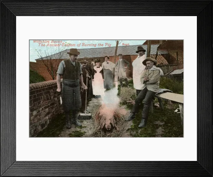 Framed Print : Wiltshire Bacon - Ancient Custom of Burning the Pig Framed Print : Wiltshire Bacon - Ancient Custom of Burning the Pig