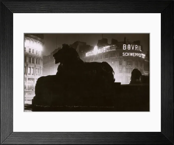 Framed Print : Trafalgar Square Lion at Night - The Night Watch