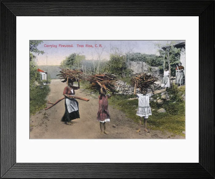 Framed Print : Carrying Firewood at Tres Rios, Costa Rica Framed Print : Carrying Firewood at Tres Rios, Costa Rica