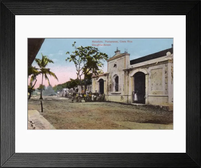 Framed Print : The Slaughterhouse - Puntarenas, Costa Rica Framed Print : The Slaughterhouse - Puntarenas, Costa Rica