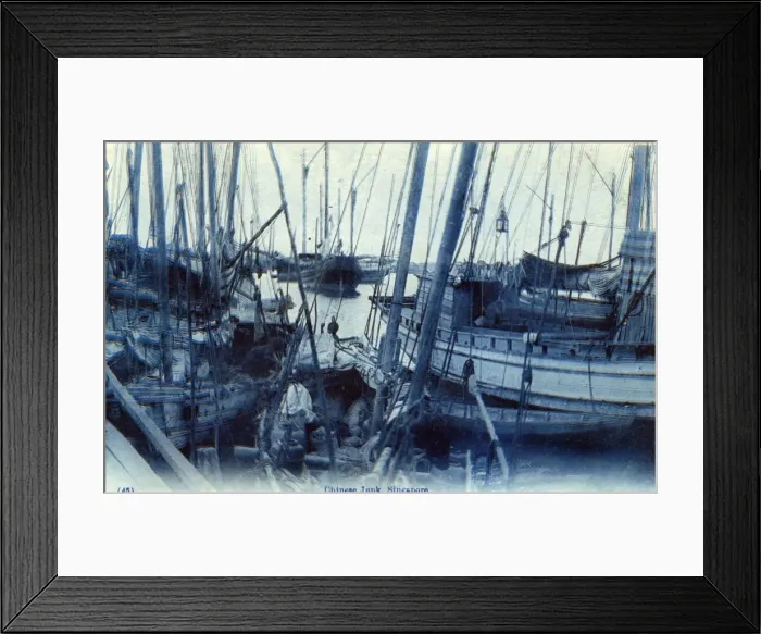 Framed Print : Chinese Junks moored at Singapore Framed Print : Chinese Junks moored at Singapore
