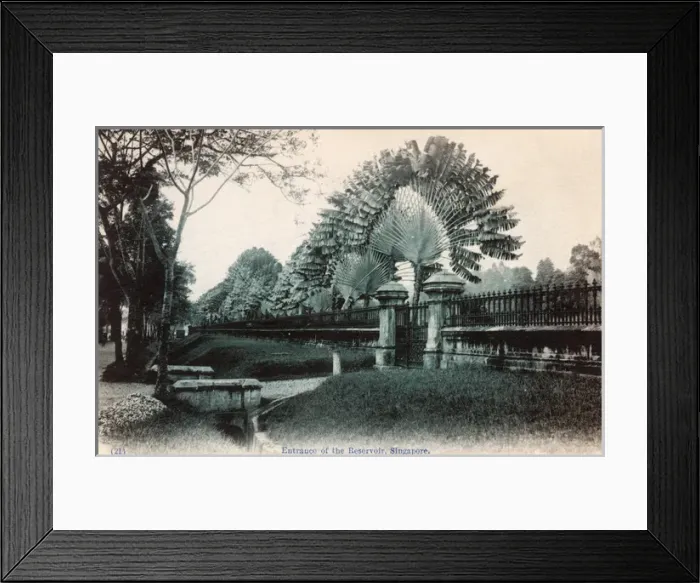 Framed Print : Entrance to the Reservoir, Singapore Framed Print : Entrance to the Reservoir, Singapore