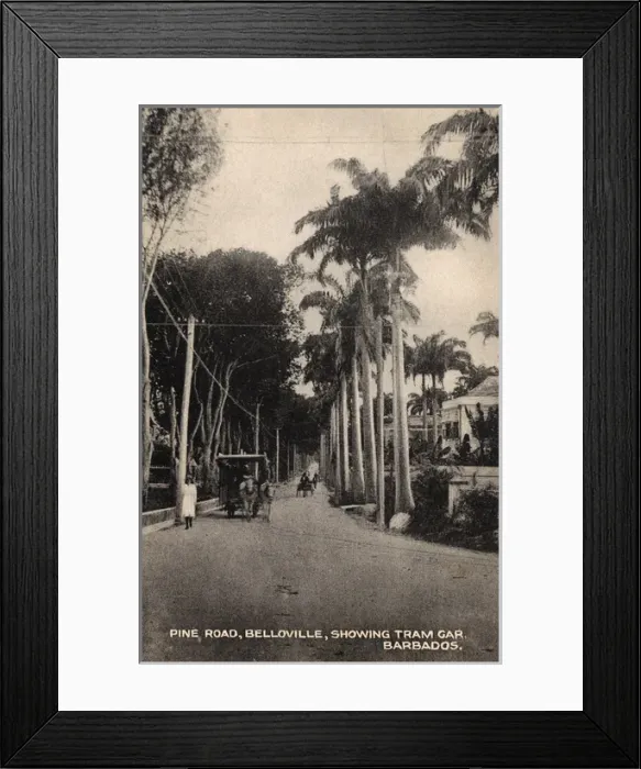 Framed Print : Horse Tram on Pine Road, Belloville, Barbados Framed Print : Horse Tram on Pine Road, Belloville, Barbados