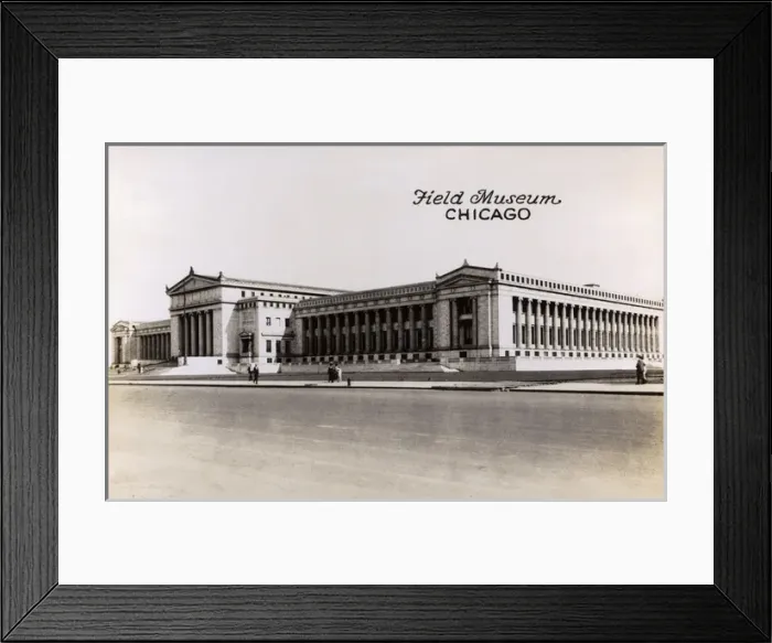 Framed Print : Field Museum of Natural History, Chicago, USA Framed Print : Field Museum of Natural History, Chicago, USA