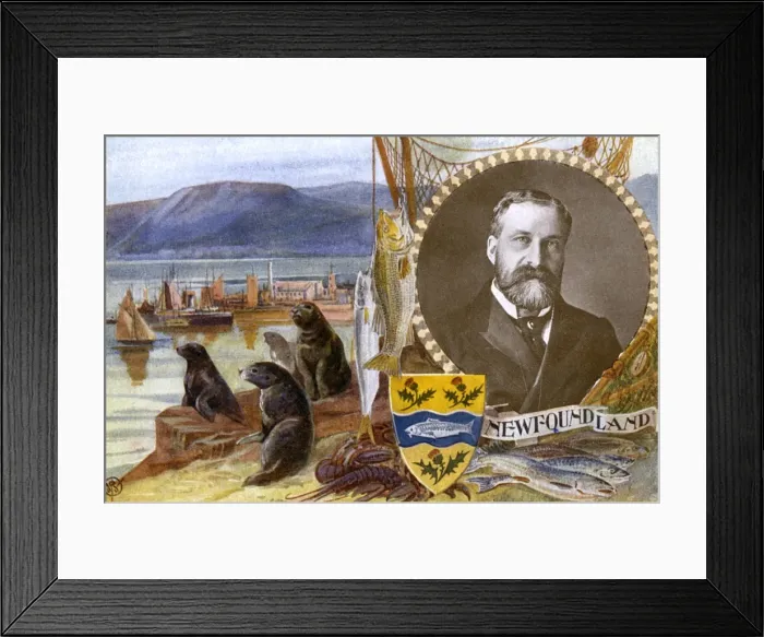 Framed Print : Canada - Newfoundland Framed Print : Canada - Newfoundland