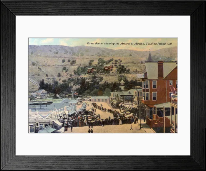 Framed Print : Avalon Bay, Santa Catalina Island, California, USA Framed Print : Avalon Bay, Santa Catalina Island, California, USA