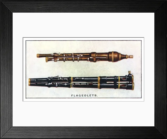 Framed Print : Flageolets Framed Print : Flageolets